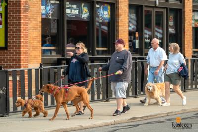 Hens-And-Hounds-06-10-2025-24
