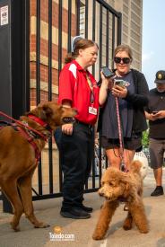 Hens-And-Hounds-06-10-2025-27