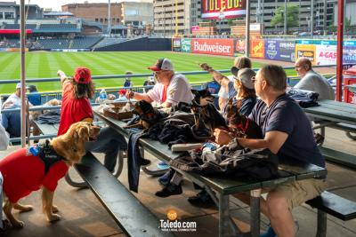 Hens-And-Hounds-06-10-2025-46