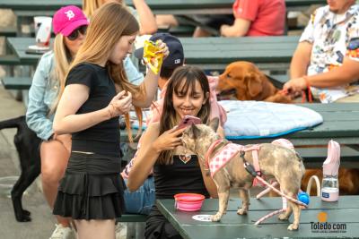 Hens-And-Hounds-06-10-2025-63