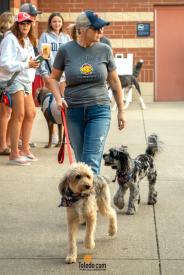 Hens-And-Hounds-06-10-2025-68