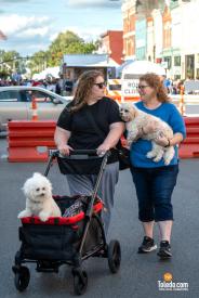 TDC-Black-Swamp-Arts-Festival-09-07-8-2025-016
