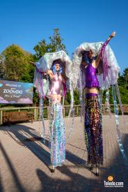 TDC-Zoo-To-Do-09-19-2025-008