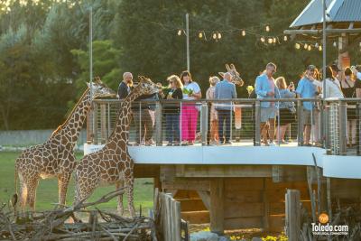 TDC-Zoo-To-Do-09-19-2025-038