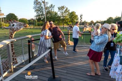 TDC-Zoo-To-Do-09-19-2025-041
