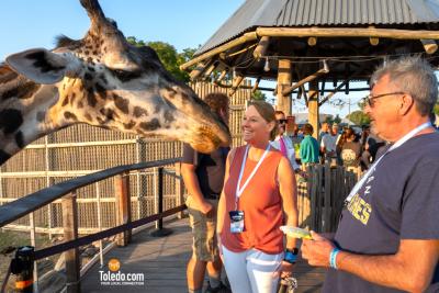 TDC-Zoo-To-Do-09-19-2025-046