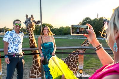 TDC-Zoo-To-Do-09-19-2025-047