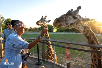 TDC-Zoo-To-Do-09-19-2025-051