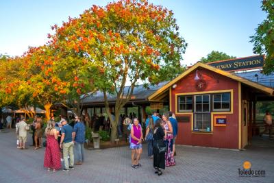 TDC-Zoo-To-Do-09-19-2025-063