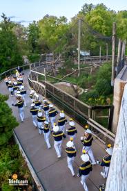 TDC-Zoo-To-Do-09-19-2025-077