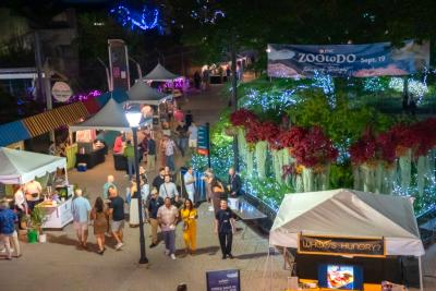 TDC-Zoo-To-Do-09-19-2025-131