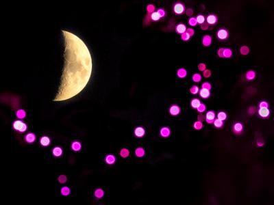 TDC-ZOOM-Toledo-Glow-Ride-09-28-2025-48
