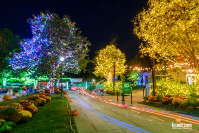 TDC-ZOOM-Toledo-Glow-Ride-09-28-2025-57