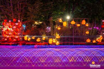 TDC-ZOOM-Toledo-Glow-Ride-09-28-2025-61