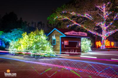 TDC-ZOOM-Toledo-Glow-Ride-09-28-2025-62