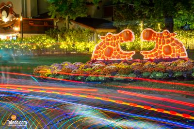 TDC-ZOOM-Toledo-Glow-Ride-09-28-2025-65