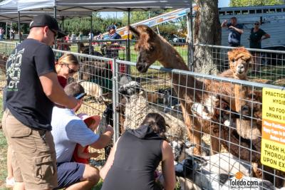 MacQueens-Apple-Butter-Festival-10-04-2025-26