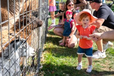MacQueens-Apple-Butter-Festival-10-04-2025-27
