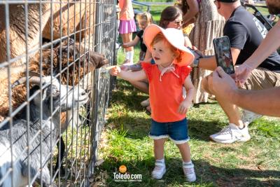 MacQueens-Apple-Butter-Festival-10-04-2025-28