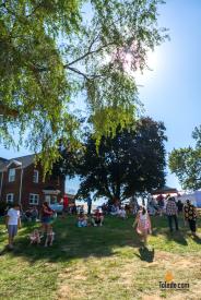 MacQueens-Apple-Butter-Festival-10-04-2025-32