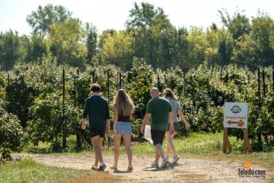 MacQueens-Apple-Butter-Festival-10-04-2025-41
