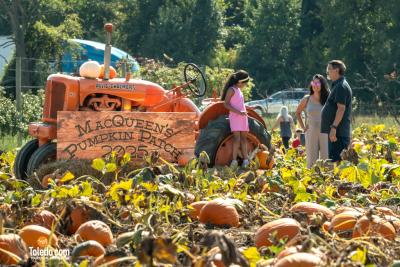 MacQueens-Apple-Butter-Festival-10-04-2025-49