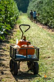 MacQueens-Apple-Butter-Festival-10-04-2025-59