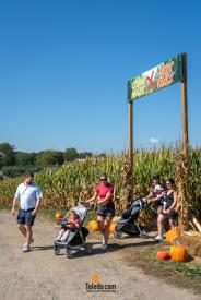 MacQueens-Apple-Butter-Festival-10-04-2025-60