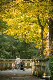 Haunted-Manor-House-10-25-2025-01