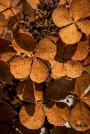 Haunted-Manor-House-10-25-2025-03