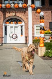 Haunted-Manor-House-10-25-2025-13