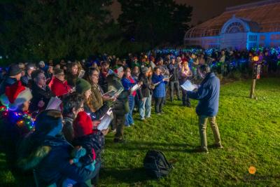 TDC-Lights-Before-Christmas-2025-29