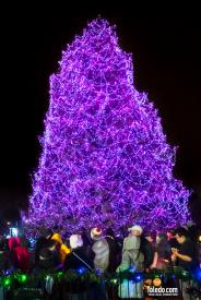 TDC-Lights-Before-Christmas-2025-42