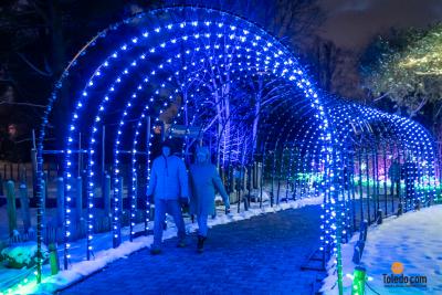 TDC-Lights-Before-Christmas-2025-57