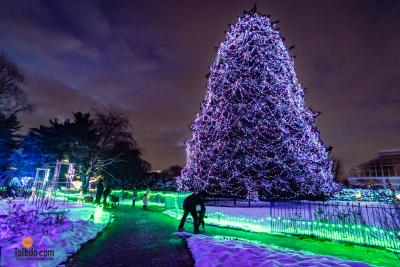 TDC-Lights-Before-Christmas-2025-59