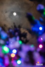 TDC-Lights-Before-Christmas-2025-61