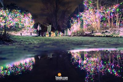 TDC-Lights-Before-Christmas-2025-62