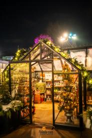 TDC-Lights-Before-Christmas-2025-66