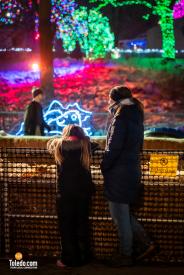 TDC-Lights-Before-Christmas-2025-68