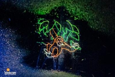 TDC-Lights-Before-Christmas-2025-72