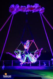 WW-TDC-06-2026-236