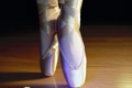 Reverence Photo