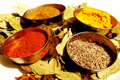 Masala Cuisine of India Photo
