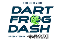 Dart Frog Dash