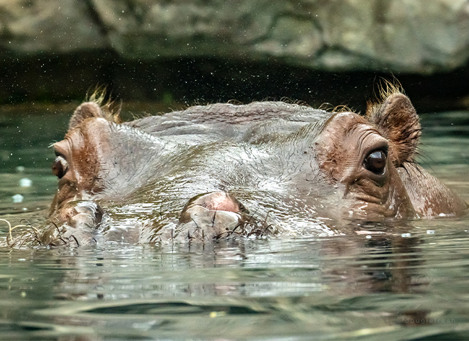 Photo of the Week feature image