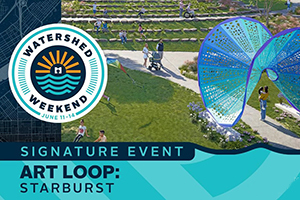 Art Loop: Starburst Photo