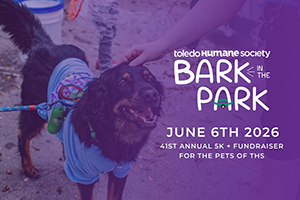Bark in the Park 2026 Photo