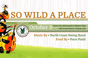 So Wild a Place Photo