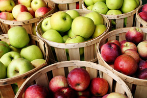 Applebutter Fest Photo