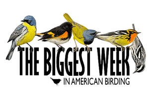 The Biggest Week in American Birding  Photo